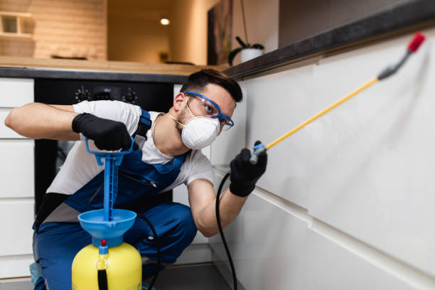 Best Local Pest Control Services  in Terra Alta, WV