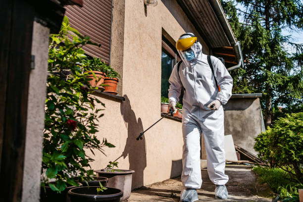 Best Mosquito Control Services  in Terra Alta, WV