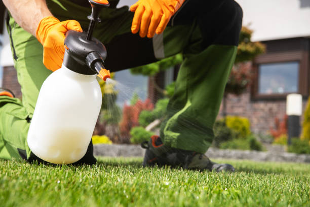 Trusted Terra Alta, WV Pest Control Experts
