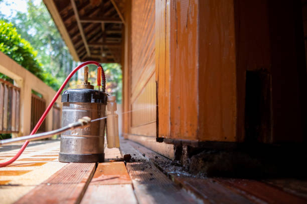 Best Best Pest Control Companies  in Terra Alta, WV