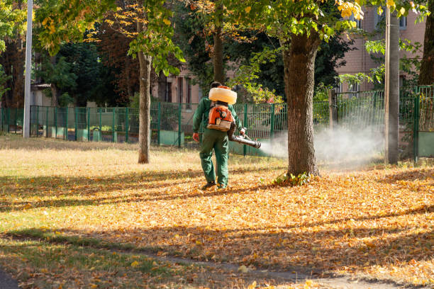 Best Affordable Pest Control Services  in Terra Alta, WV