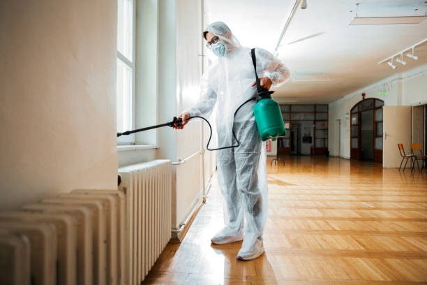 Best Termite Control Services  in Terra Alta, WV