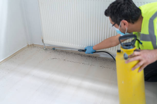 Best Pest Inspection Near Me  in Terra Alta, WV