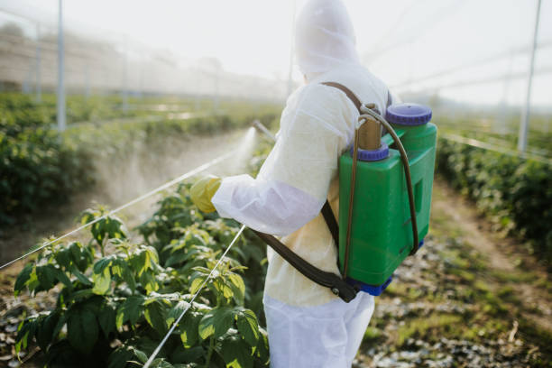 Best Pest Control Near Me  in Terra Alta, WV